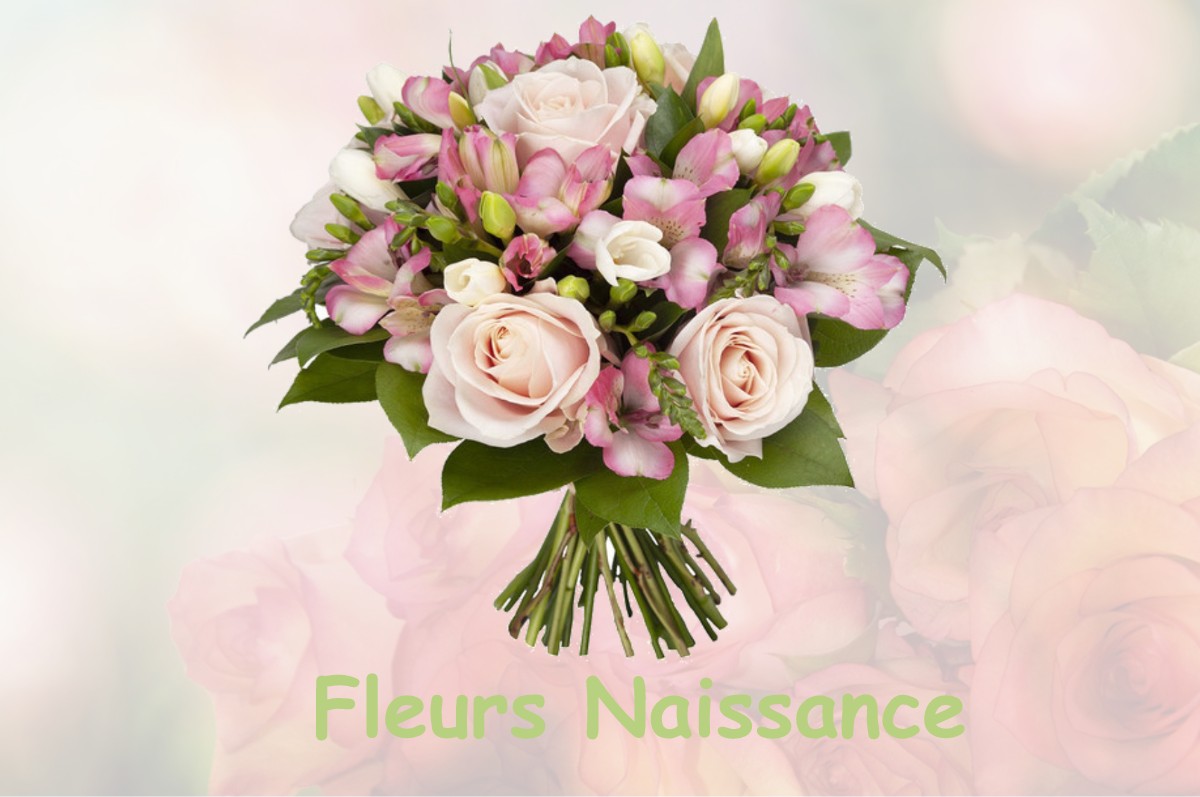 fleurs naissance FRESNE-LA-MERE